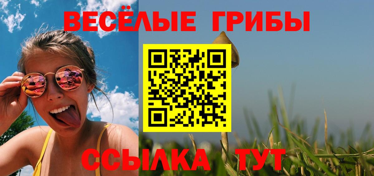 Галлюциногенные грибы Magic Shrooms Новороссийск