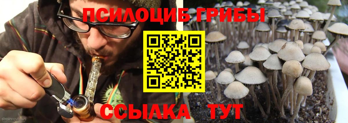 A-PVP Новороссийск