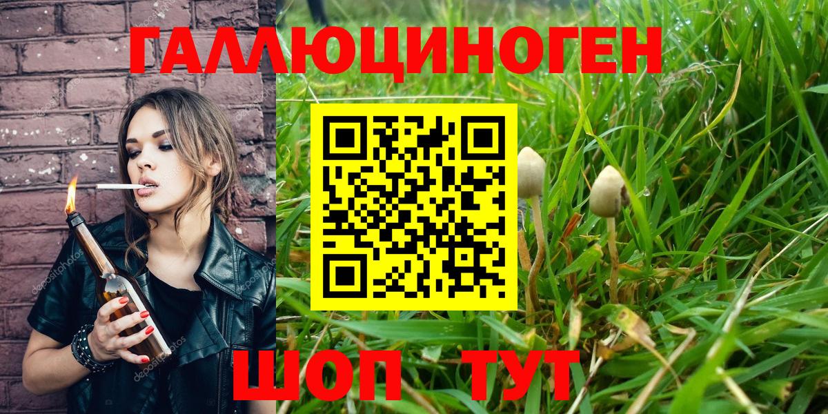 Галлюциногенные грибы Magic Shrooms  Вход с VPN  Псилоцибиновые грибы MAGIC MUSHROOMS  Новороссийск 